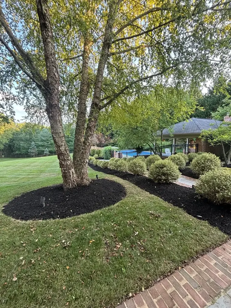 Landscaping and hardscaping work by Jamatte Landscaping in Baltimore County, Maryland