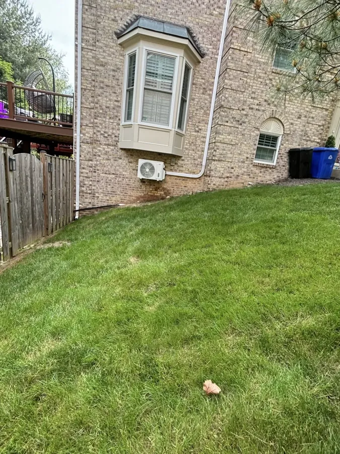 Sodding and Lawn Care
