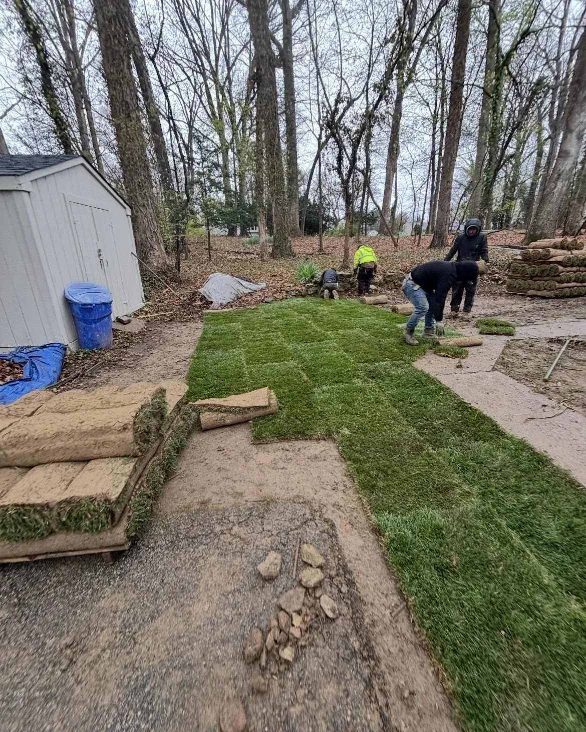 Crew laying sod rolls, Sodding & lawn care