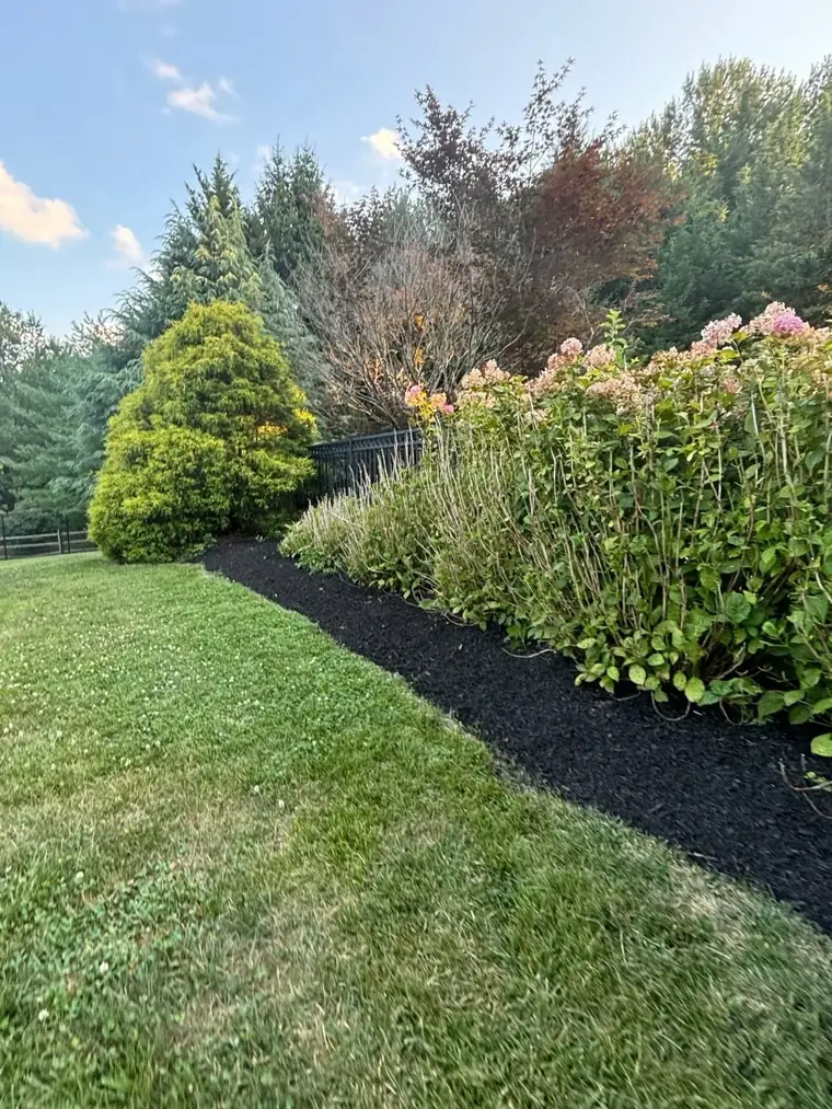 Mulching & Planting in Baltimore County