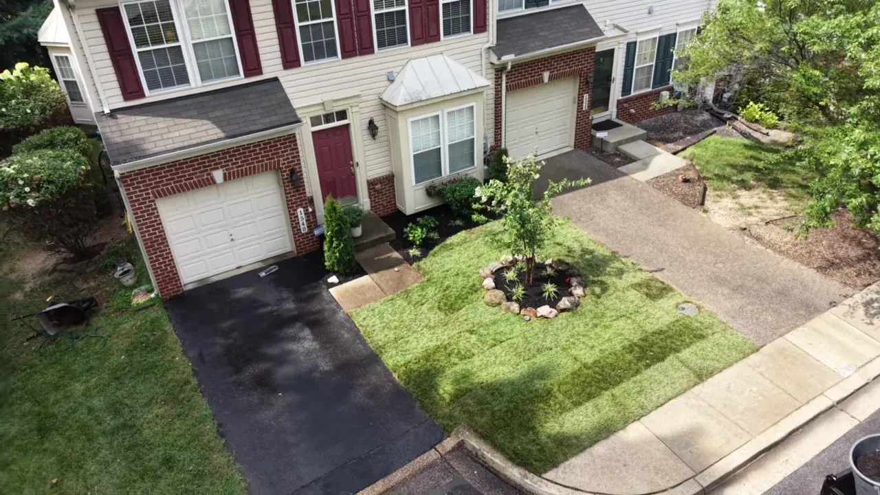 Front lawn and planted island from above