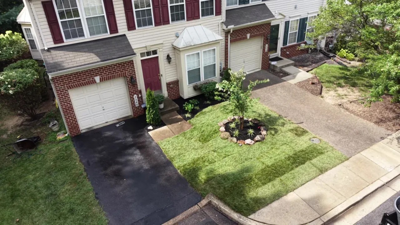 New sod, tree ring and bed planting